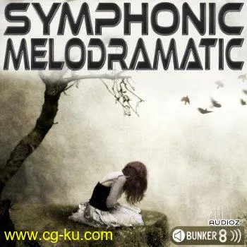 Bunker 8 Digital Labs Symphonic Melodramatic MULTiFORMAT-DECiBEL的图片1