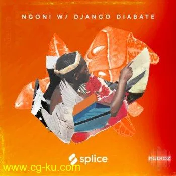 Splice Sessions Ngoni with Django Diabate WAV的图片1