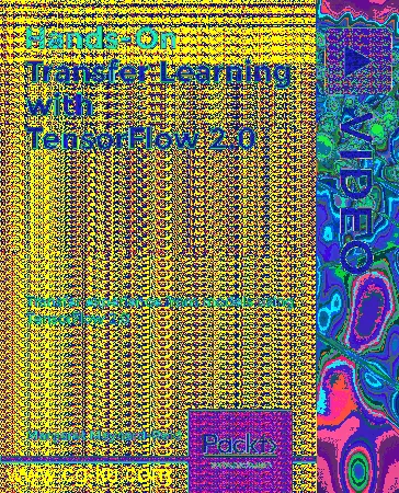 Hands-On Transfer Learning with TensorFlow 2.0的图片1