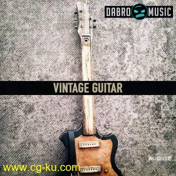 DABRO Music Vintage Guitar MULTiFORMAT的图片1