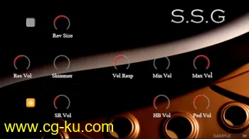 Sampletekk S.S.G MULTiFORMAT的图片2