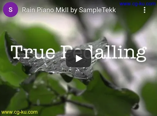 Sampletekk Rain Piano MkII KONTAKT的图片1