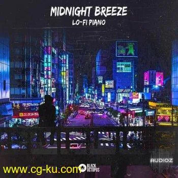 Black Octopus Sound Midnight Breeze Lo-Fi Piano WAV-DECiBEL的图片1