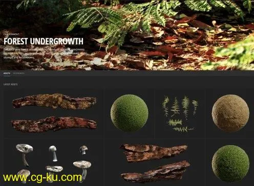 Quixel – FOREST UNDERGROWTH的图片1