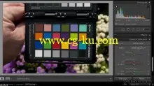 Color Management Fundamentals的图片1