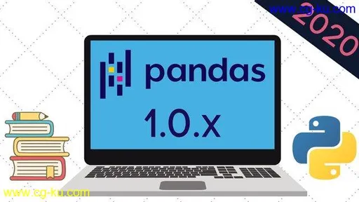 The Ultimate Pandas Bootcamp: Advanced Python Data Analysis的图片1