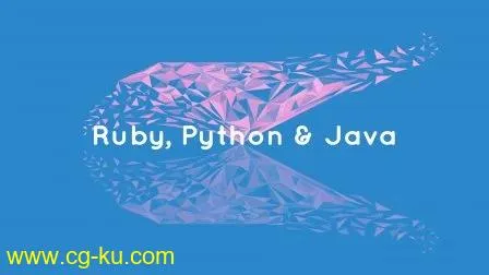 Projects in Programming Languages – Ruby, Python, Java的图片2