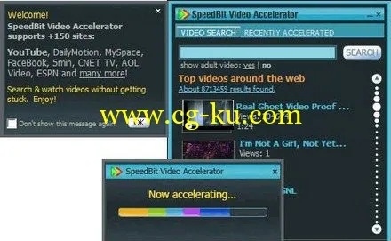 SpeedBit Video Accelerator Premium 3.3.8.0 Build 3064 Multilingual的图片1