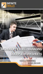 InfiniteSKILLS – Microsoft Excel – Managing Multiple Worksheets的图片1