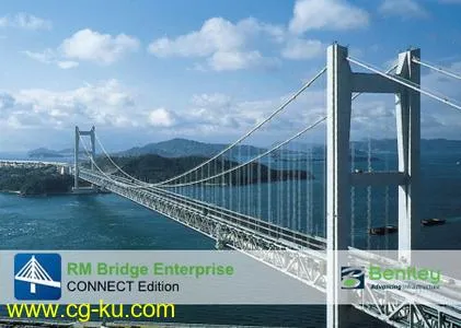 RM Bridge Enterprise CONNECT Edition V11 Update 5的图片1