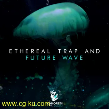 Komorebi Audio Ethereal Trap And Future Wave WAV-DISCOVER的图片1