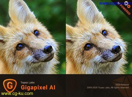 Topaz Gigapixel AI 5.1.4 x64的图片1