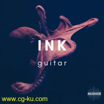 Ink Audio Ink Guitar KONTAKT-DECiBEL的图片1