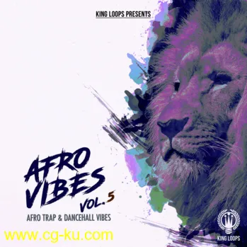 King Loops Afro Vibes Volume 5 WAV MiDi-DISCOVER的图片1