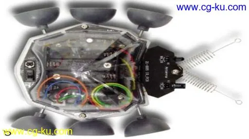 Learn How to Build a Ladybug Mobile Robot from Scratch DoIT的图片1