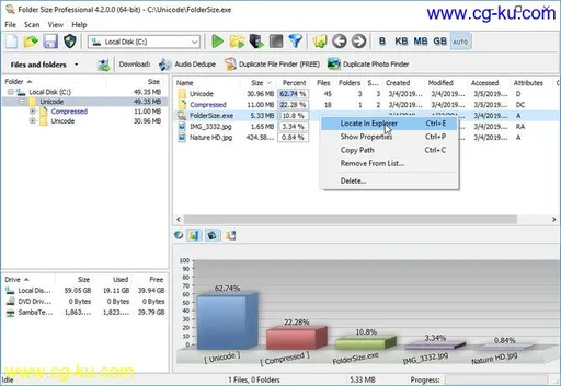 Folder Size Professional 4.5.0.0的图片1