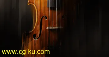 Native Instruments Stradivari Violin v1.0.0 KONTAKT DVDR的图片1