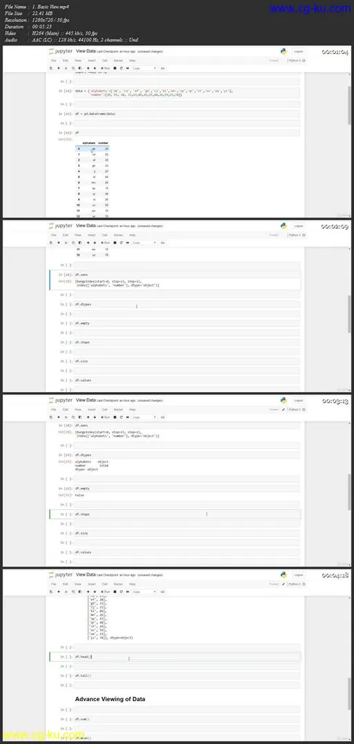 Pandas: Beginner To Advance 2020的图片1