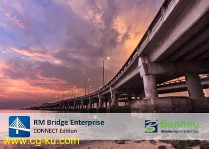 RM Bridge Enterprise CONNECT Edition V11 Update 8的图片1