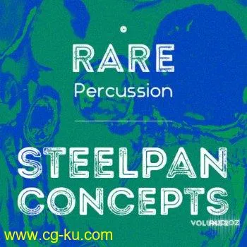 RARE Percussion Steelpan Concepts Vol. 2 WAV的图片1