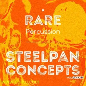 RARE Percussion Steelpan Concepts Vol. 3 WAV的图片1