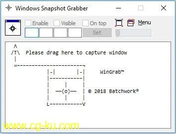 Windows Snapshot Grabber 2020.12.715.2774的图片1