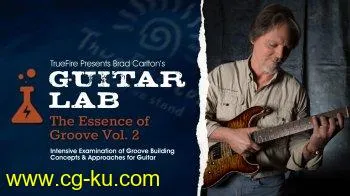 Truefire Brad Carlton Guitar Lab The Essence of Groove Vol. 2 MP4的图片1