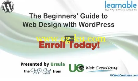 Beginners’ Guide to Web Design with WordPress的图片1