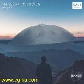 RARE Percussion Handpan Melodics WAV的图片1