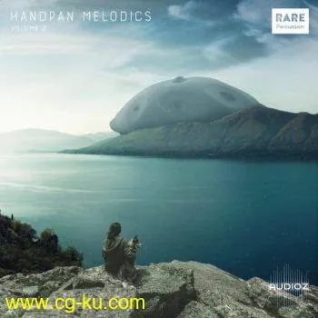 RARE Percussion Handpan Melodics Vol. 2 WAV的图片1