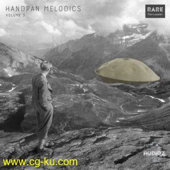 RARE Percussion Handpan Melodics Vol. 3 WAV的图片1