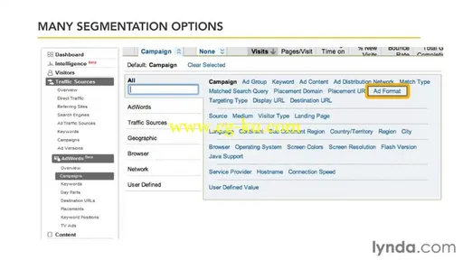 Google Analytics Essential Training的图片3