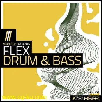 Zenhiser Flex: Drum and Bass MULTiFORMAT-DECiBEL的图片1