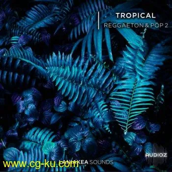 Laniakea Sounds Tropical Reggaeton And Pop 2 WAV-FLARE的图片1