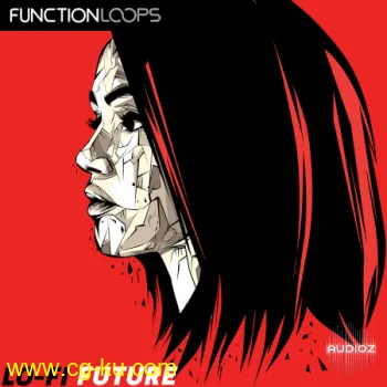 Function Loops Lofi Future WAV-FLARE的图片1