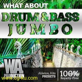 W A Production Drum and Bass Jumbo MULTiFORMAT-DECiBEL的图片1