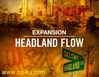 Native Instruments Headland Flow v2.0.0 DVDR的图片1