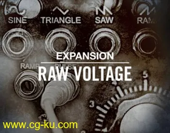 Native Instruments Raw Voltage v2.0.0 DVDR的图片1