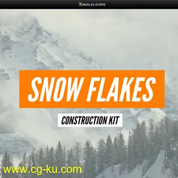 Jungle Loops Snow Flakes WAV MiDi-DISCOVER的图片1