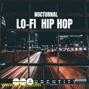 Audentity Records Nocturnal Lo-Fi Hip Hop WAV-FLARE的图片1