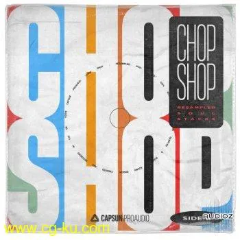 Capsun ProAudio Chop Shop Resampled Soul Stacks WAV-FLARE的图片1