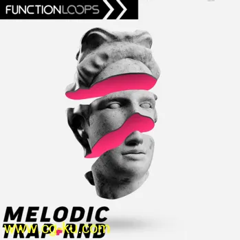 Function Loops Melodic Trap And RnB WAV MiDi-DISCOVER的图片1