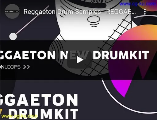 Function Loops Reggaeton New Drumkit WAV-DISCOVER的图片1