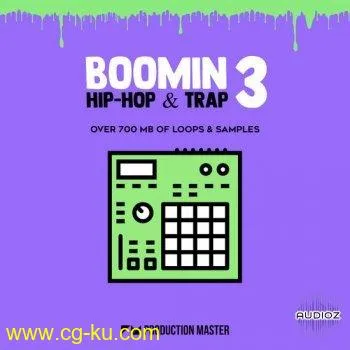 Production Master Boomin Hip Hop and Trap 3 WAV-DECiBEL的图片1