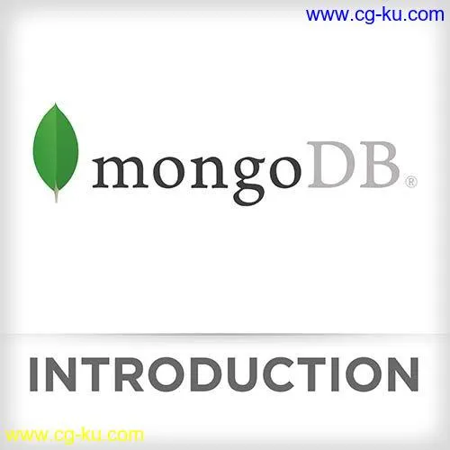 Frontend Master – Introduction to MongoDB的图片1