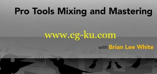 Pro Tools Mixing and Mastering (2014)的图片1