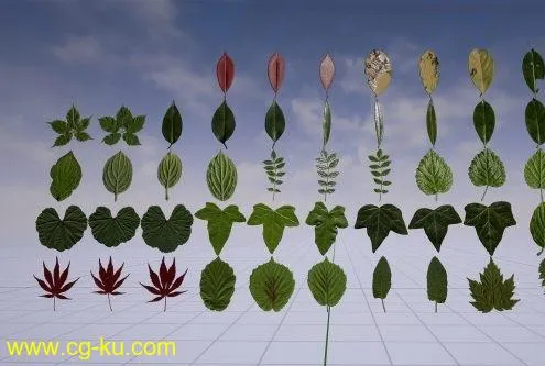 Unreal Engine Asset – Klian Photorealistic Leaves / Foliage Pack 4K v4.25的图片1