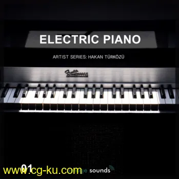 Image Sounds Artist Series Hakan Turkozu Electric Piano 01 WAV-DISCOVER的图片1