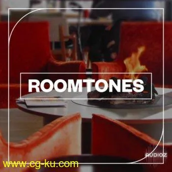 Blastwave FX Roomtones WAV的图片1