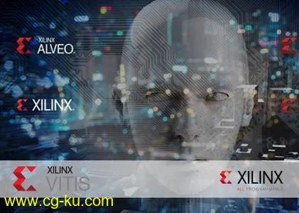 Xilinx Vitis Core Development Kit 2020.1 Linux的图片1